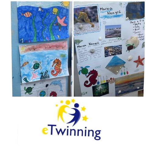 WhatsApp Image 2025 07 02 at 15.30.06